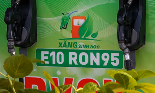 Xăng E10 bán đại trà trên toàn quốc từ hôm nay